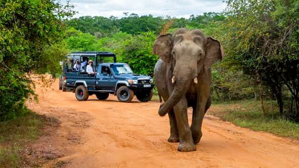 Yala National Park