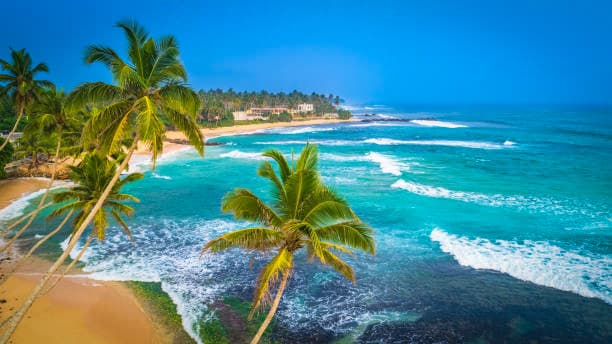 Palm-lined beach at Tangalle and Unawatuna